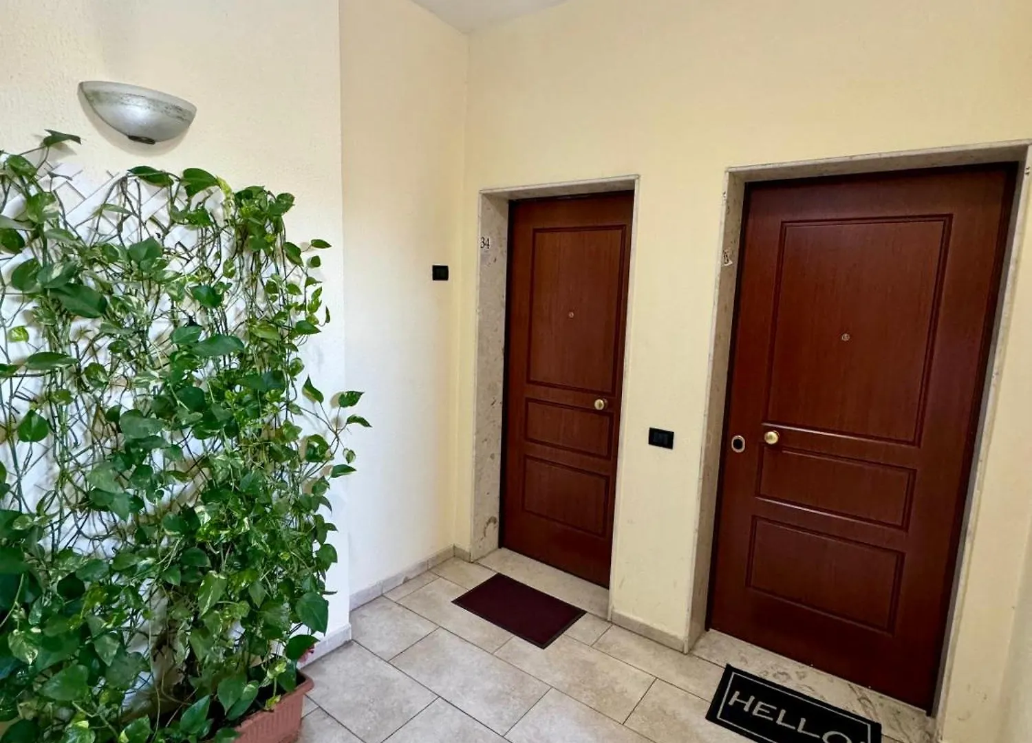 New Bazaar Cozy Apartment 3 Tiran Arnavutluk